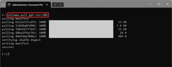 Install GPT-OSS command line interface showing model download commands